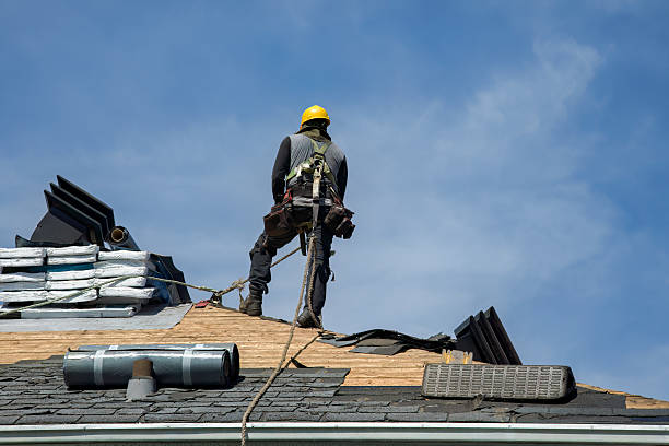 Professional Roof Installation technician working in USA